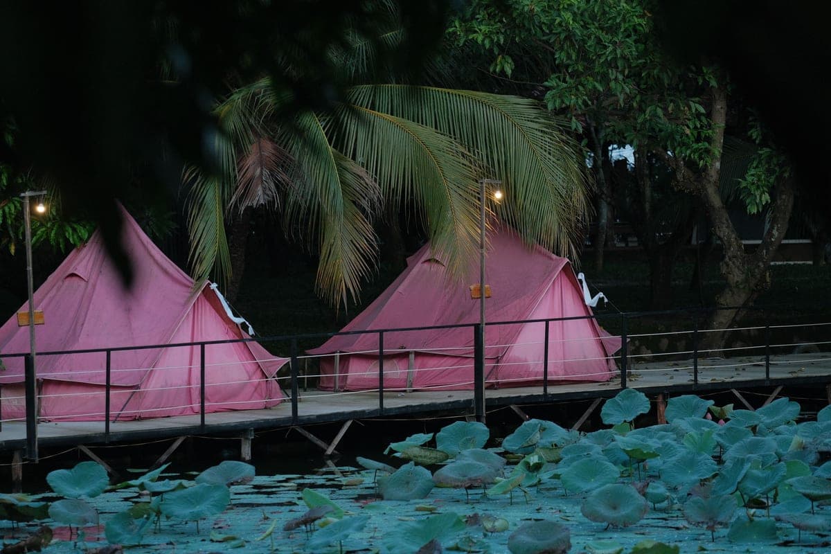 Tents pitched beside a pond in the evening