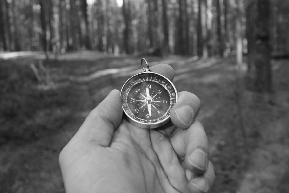 A hand holding a compass in a forest