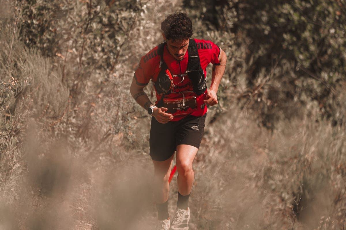 A trail runner in tall grass under sunlight