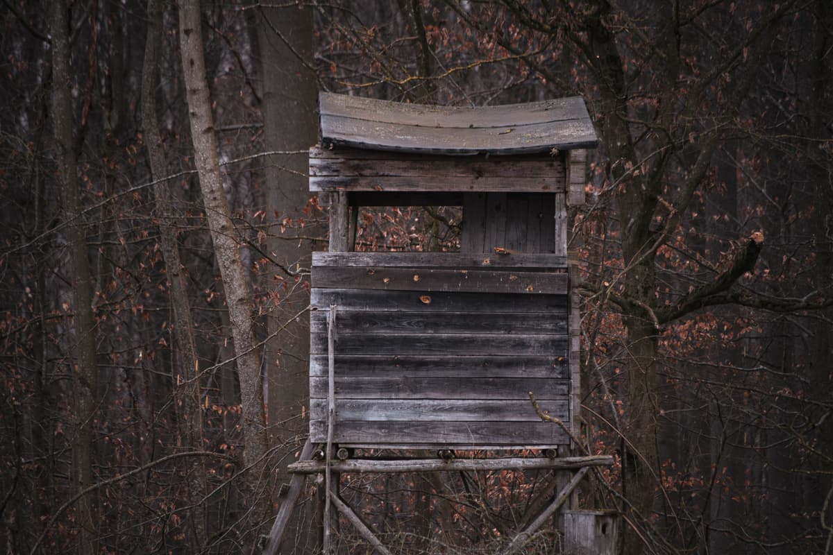 A wooden hunting tower in an autumn forest
